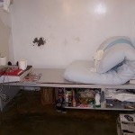 Polunksy cell