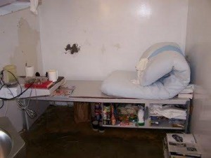 Polunksy cell